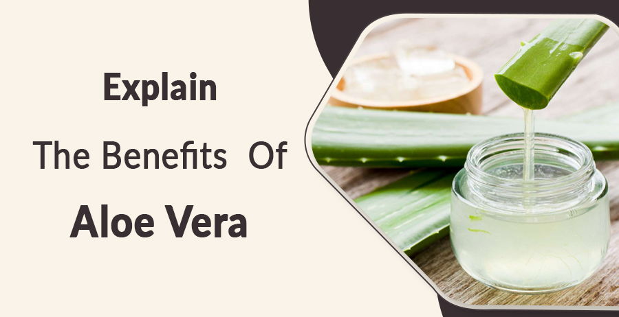 Explain The Benefits of Aloe Vera