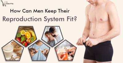 How Can Men Keep Their Reproduction System Fit?