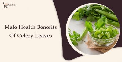 Male Health Benefits Of Celery Leaves