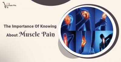 The Importance Of Knowing About Muscle Pain